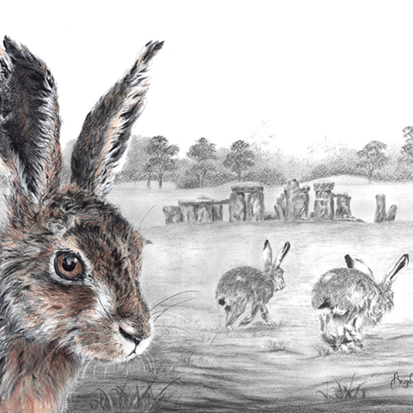 HARE THEY GO AGAIN AT STONEHENGE