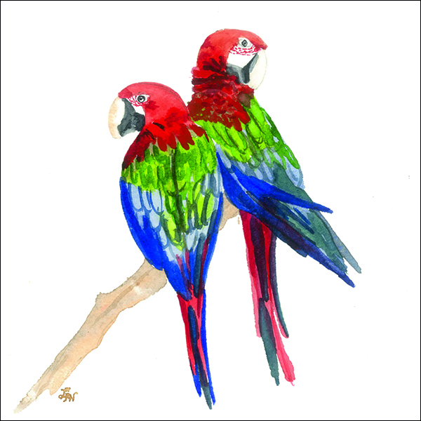 LN - Parrots