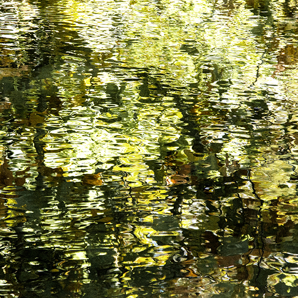 Sally Edwards-Impressions II
